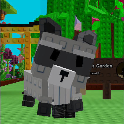 Grow A Garden Raccoon Pet